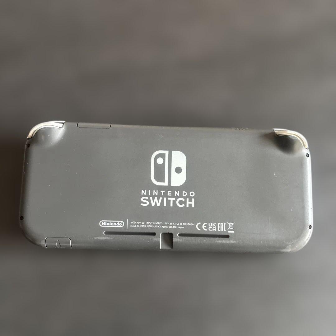 Nintendo Switch Lite 本体のみ ジャンク品