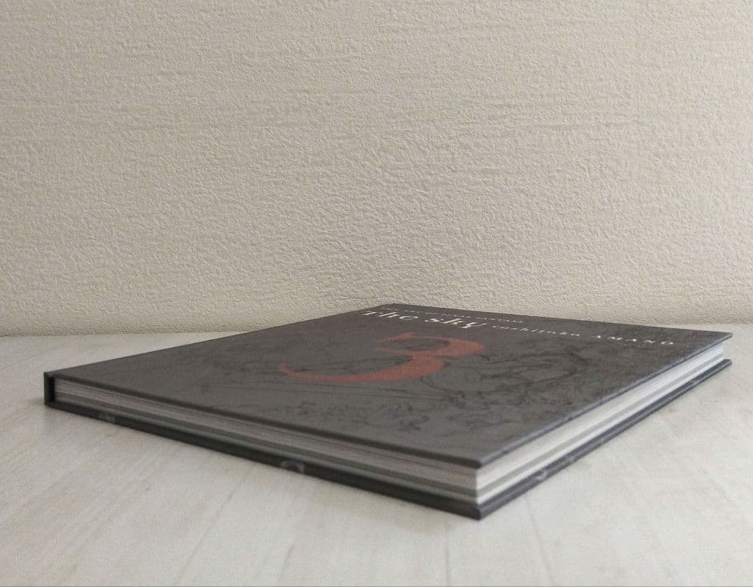 美品❣ the sky THE ART OF FINAL FANTASY天野喜孝