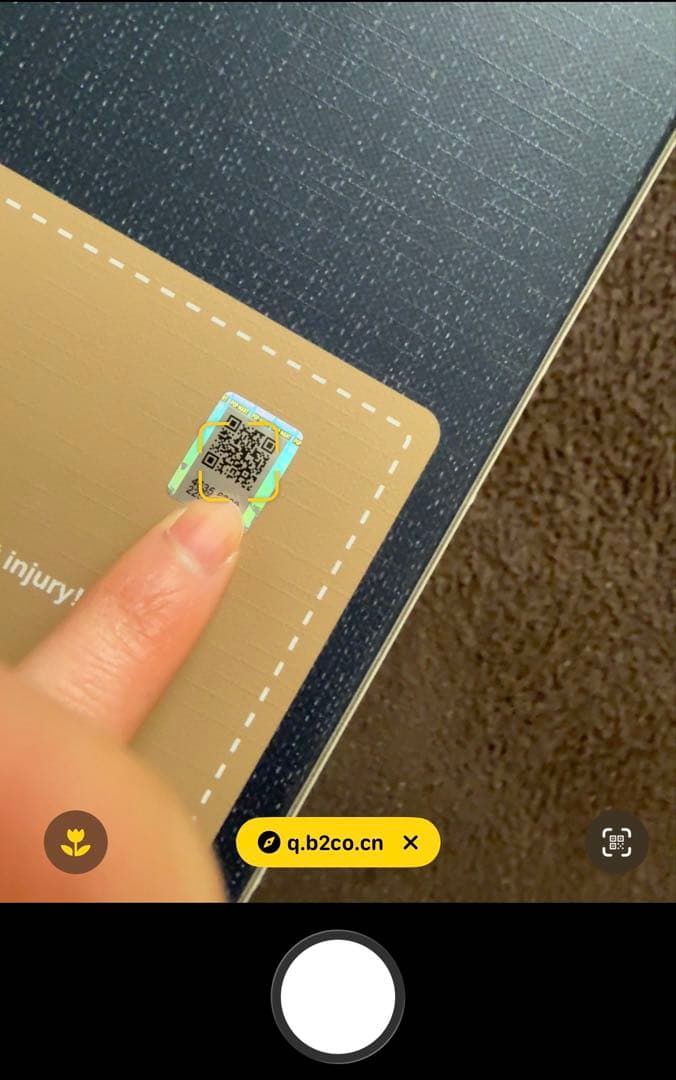 ラブブ THE MONSTERS FALL IN WILD ぬいぐるみ