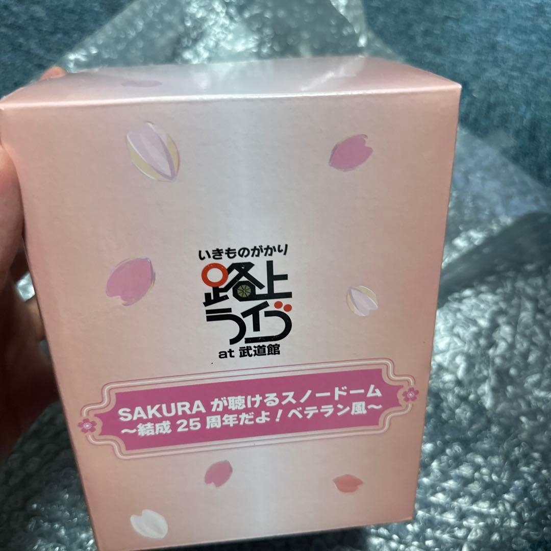 SAKURA スノードーム 25周年記念　いきものがかり　限定　オルゴール　新品