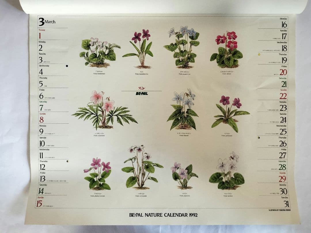 BE-PAL ビーパル カレンダー 新品未使用 1992年 ヴィンテージ