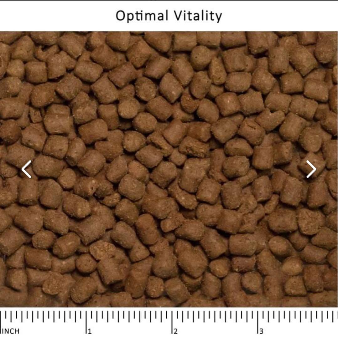 キャットフード aimer WYSON Cat Food 2.27kg x4