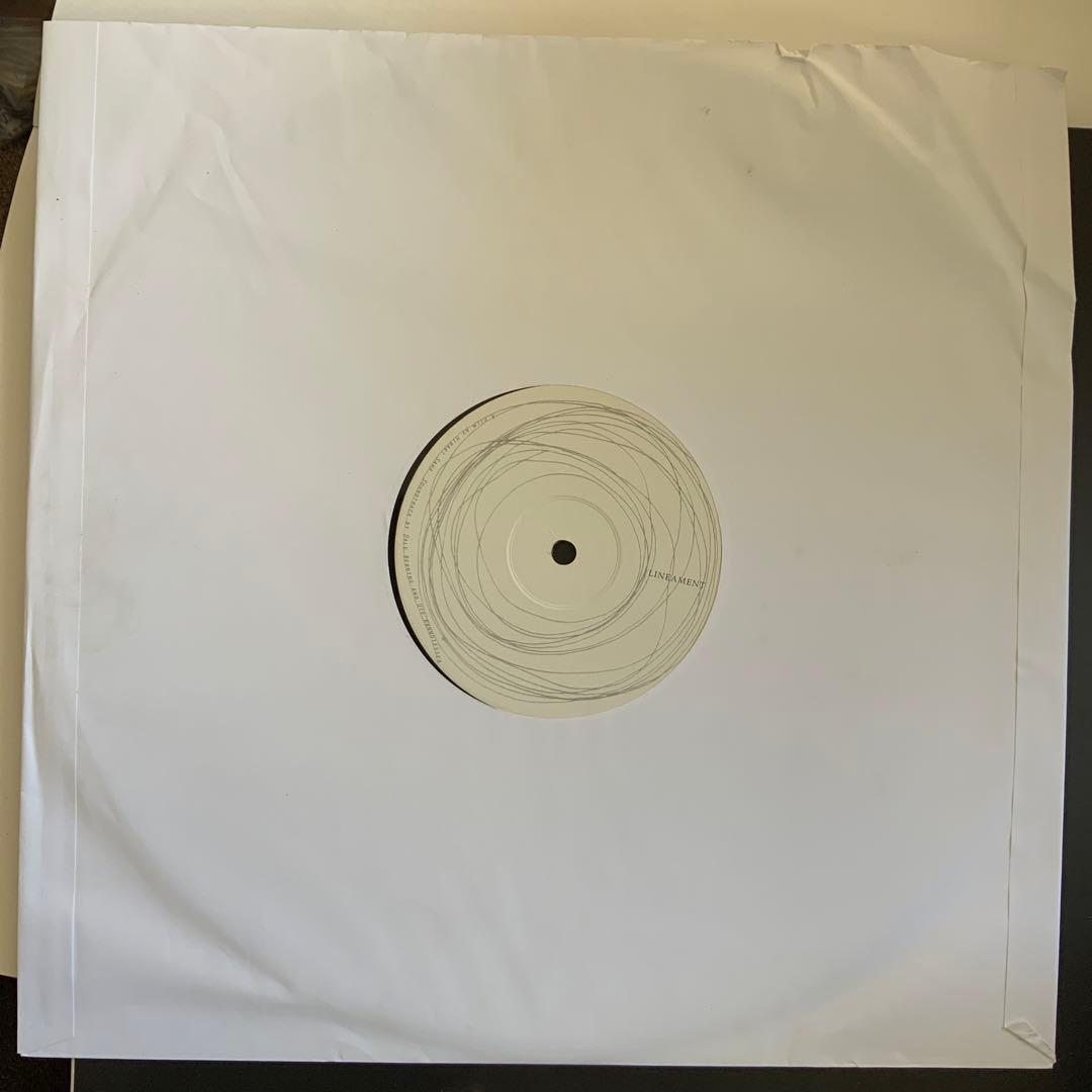 さわひらきhiraki Sawa LINEAMENT資生堂銀座展覧会43/300