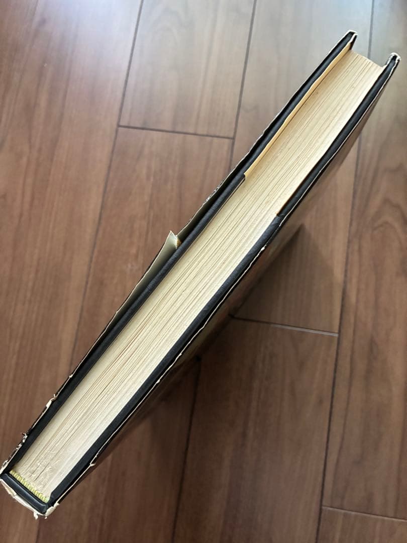 James Ensor by Paul Haesaerts アンソール画集