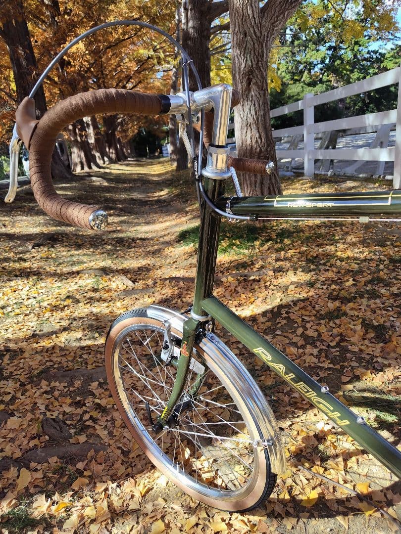 RALEIGH ラレー RSS RSW SPORT RSWカスタム