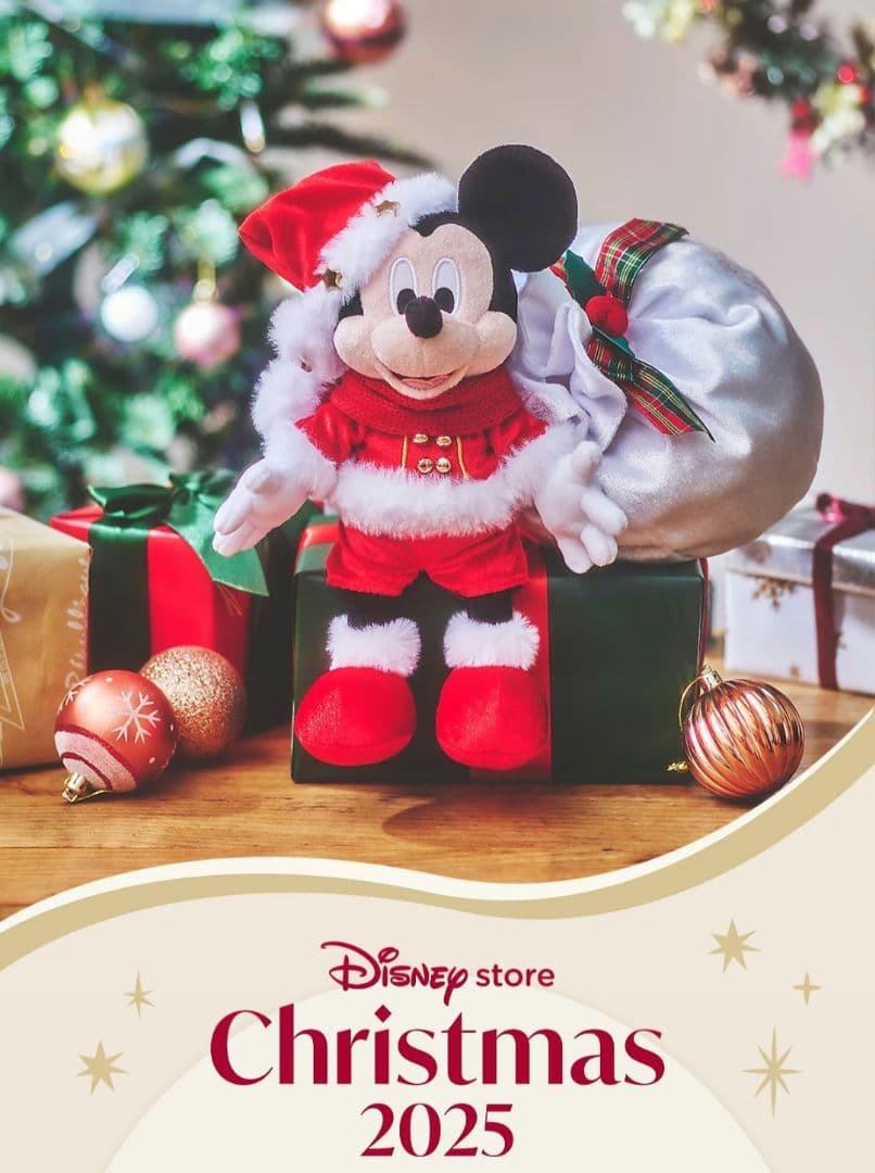 ディズニー ミッキー ミニー ぬいぐるみ 2体セット クリスマス 2025