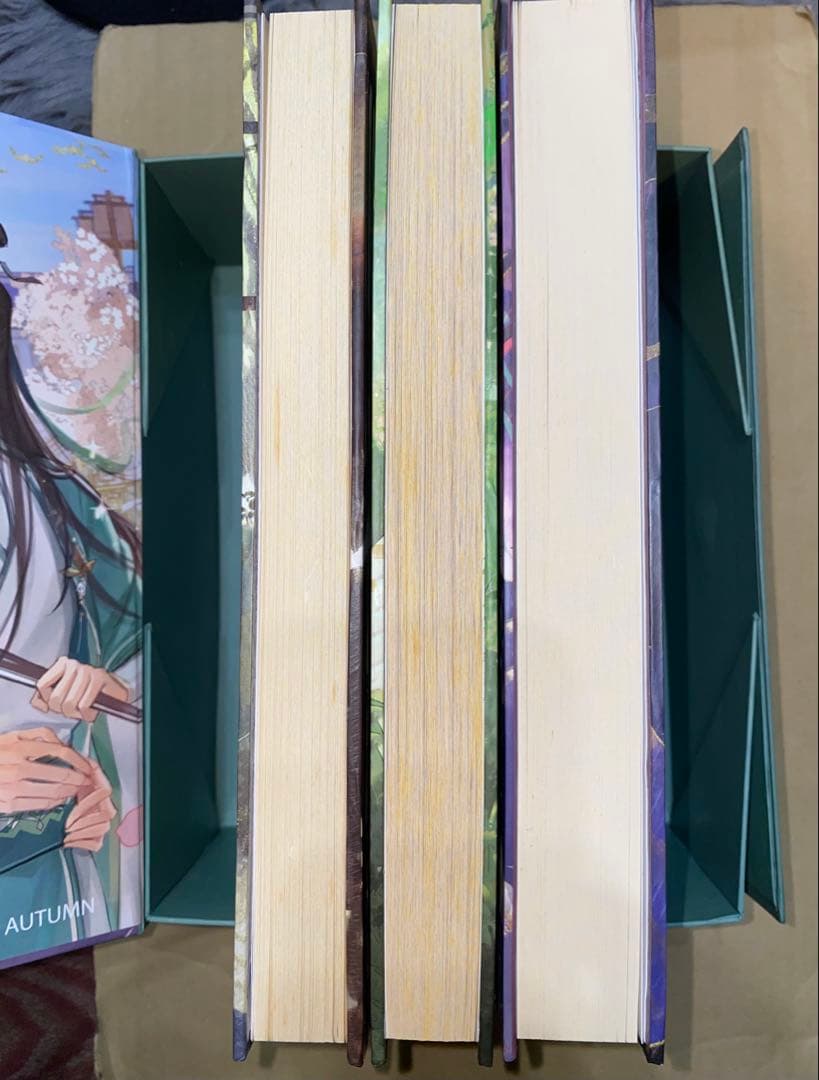 人渣反派自救系統 ミャンマー版 全3巻セット＋BOX