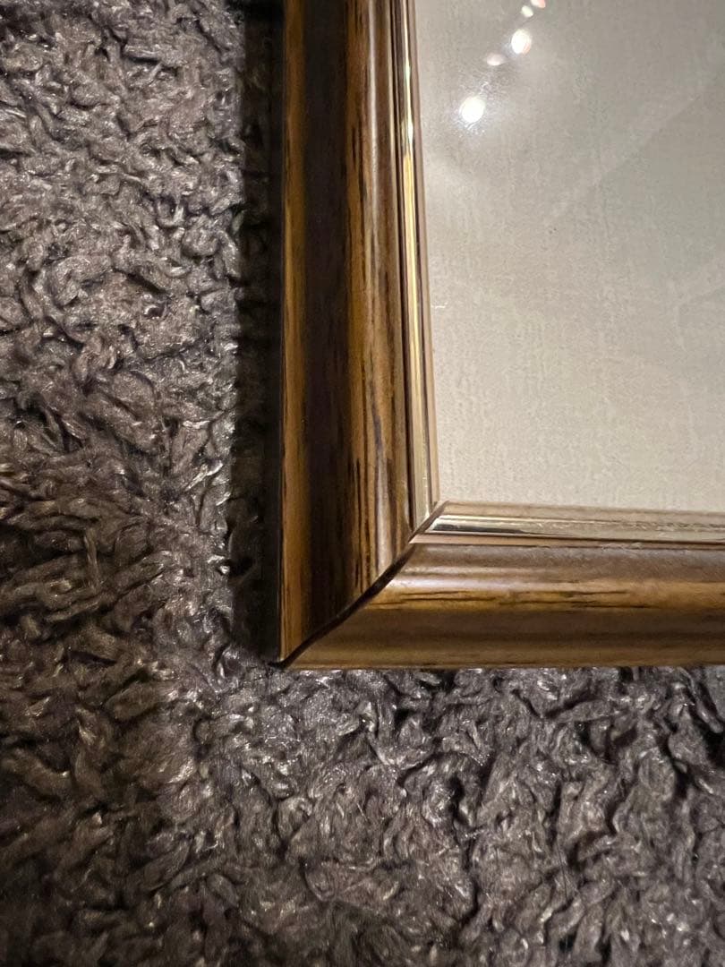 ワンピース　ONE PIECE 複製原画　ルフィ　ナミ　ゾロ　虎　龍　和　和の国