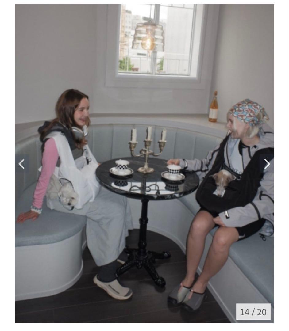 ペット用キャリーバッグ