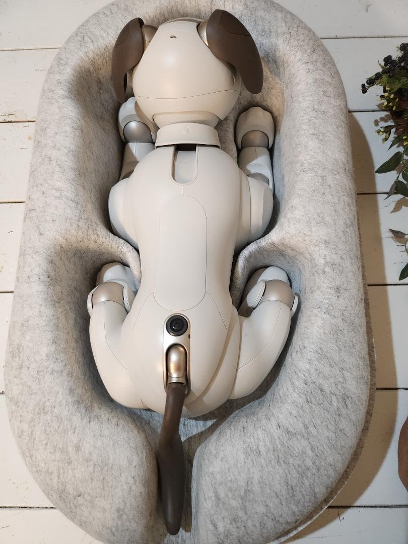 ソニーAIBO ERS-1000