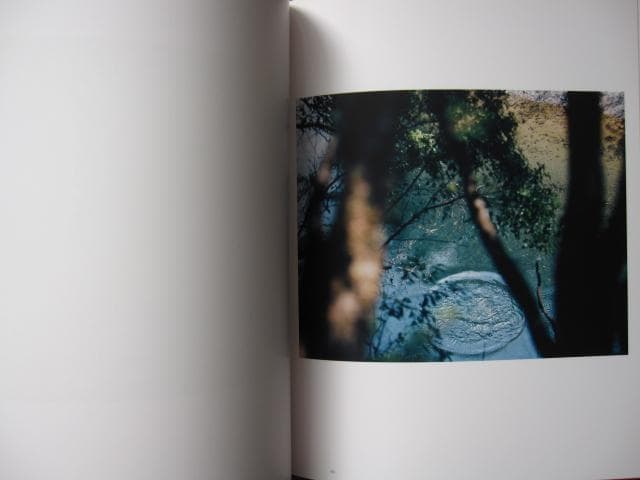 意識の流れ Stream of consciousness　鈴木理策　チラシ付き