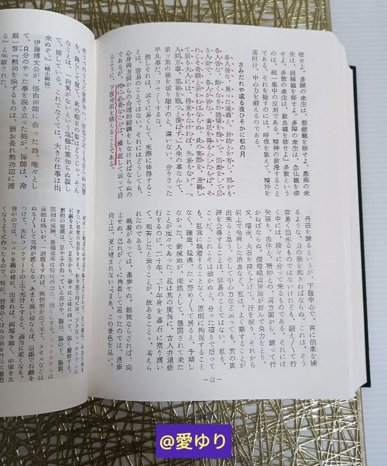 肥田春充♦合本復刻版『機関紙 聖中心道』⭐肥田式強健術⭐宇宙倫理の書⭐天真療法