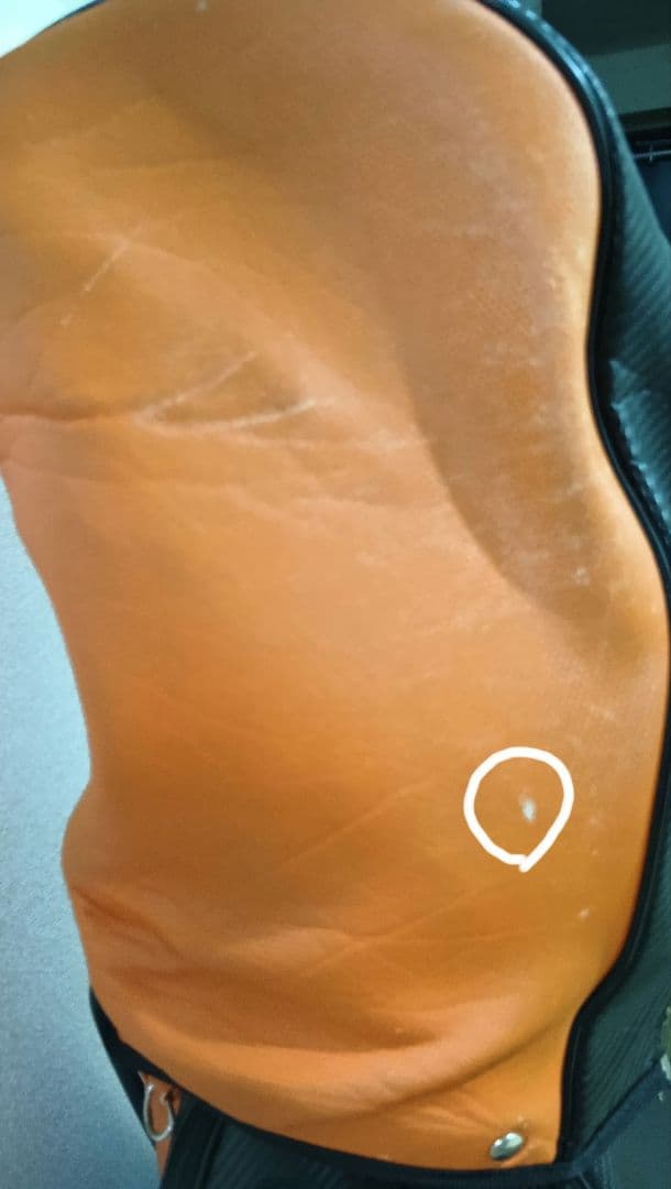 HONMA キャディバッツ ゴルフバッグ オレンジ＆ブラック　男女兼用９インチ