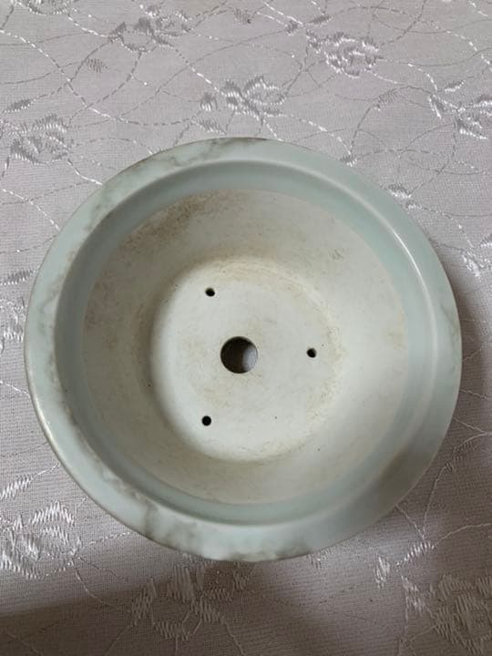 伊万里　盆栽鉢