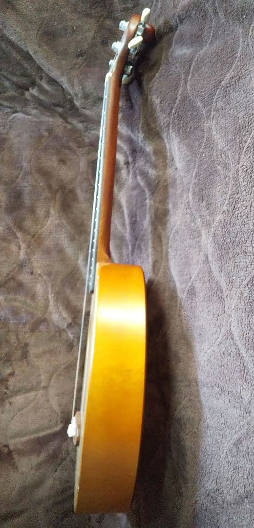 楽器　一五一会　奏生　DVD付き