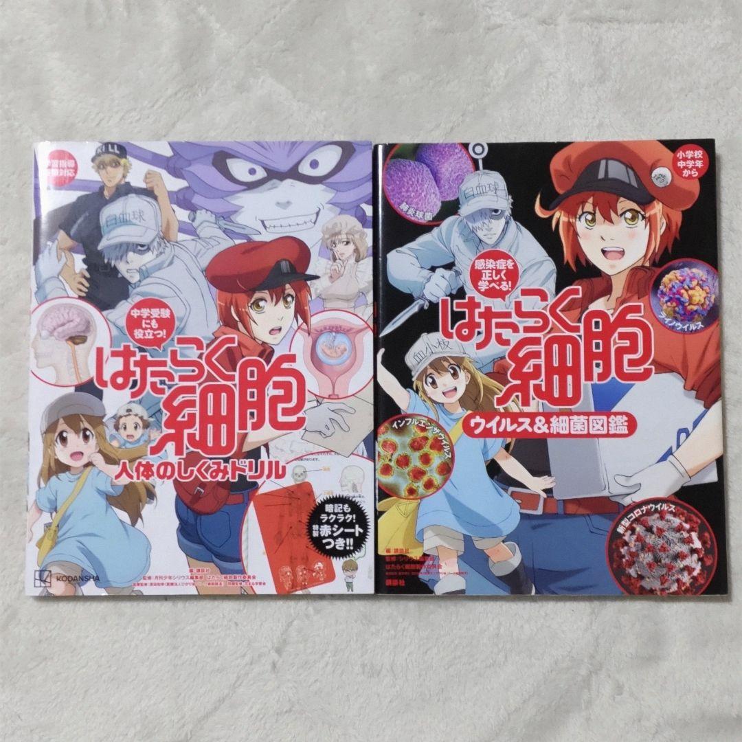 【送料無料】はたらく細胞シリーズ　25冊 まとめ売り
