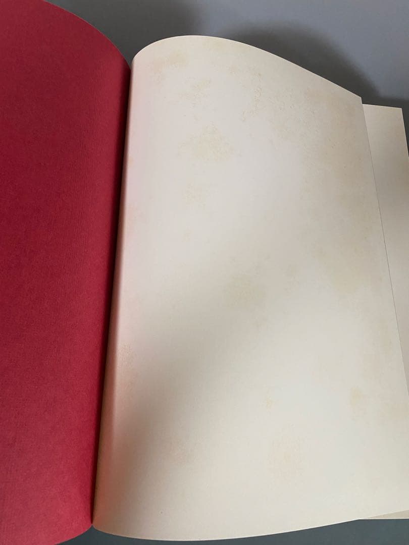 シャガール石版画全集5冊