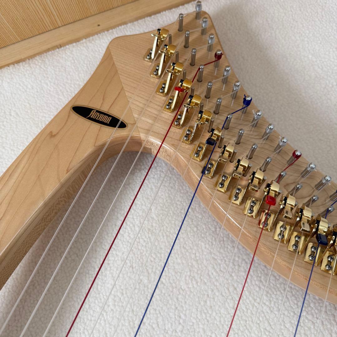 Aoyama 青山ハープ　サウルハープ　25S 専用ケース付き　25弦