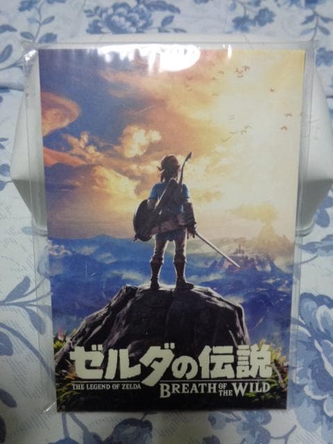 ゼルダの伝説 ブレス オブ ザ ワイルド コレクターズ エディション 特典付き