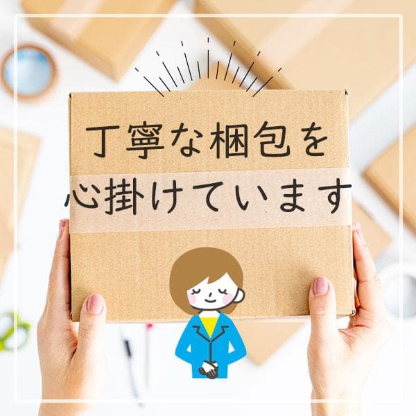 Jackery (ジャクリ) ポータブル電源 300D 288Wh リン酸　ra