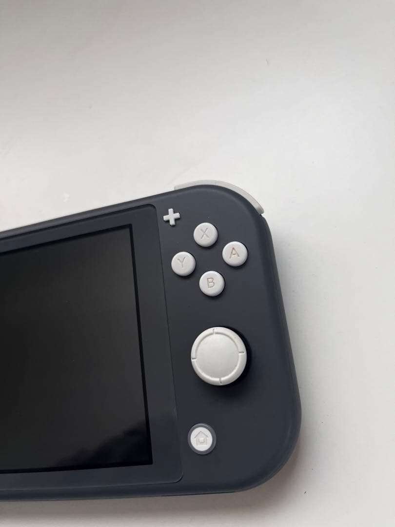 Nintendo Switch Lite グレー+ あつまれ どうぶつの森
