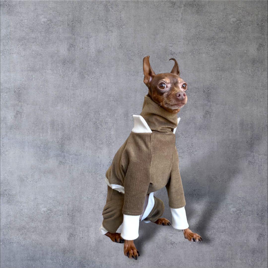 ⑪コーデュロイ イン パリ