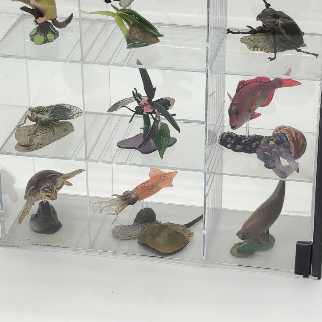 希少品 小学館 週刊 日本の天然記念物 52体セット まとめ売り