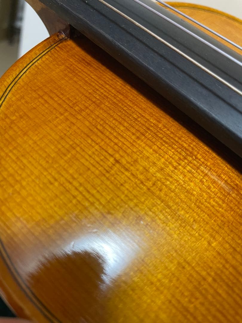 弦楽器 CARLO GIORDANO VS-2 4/4