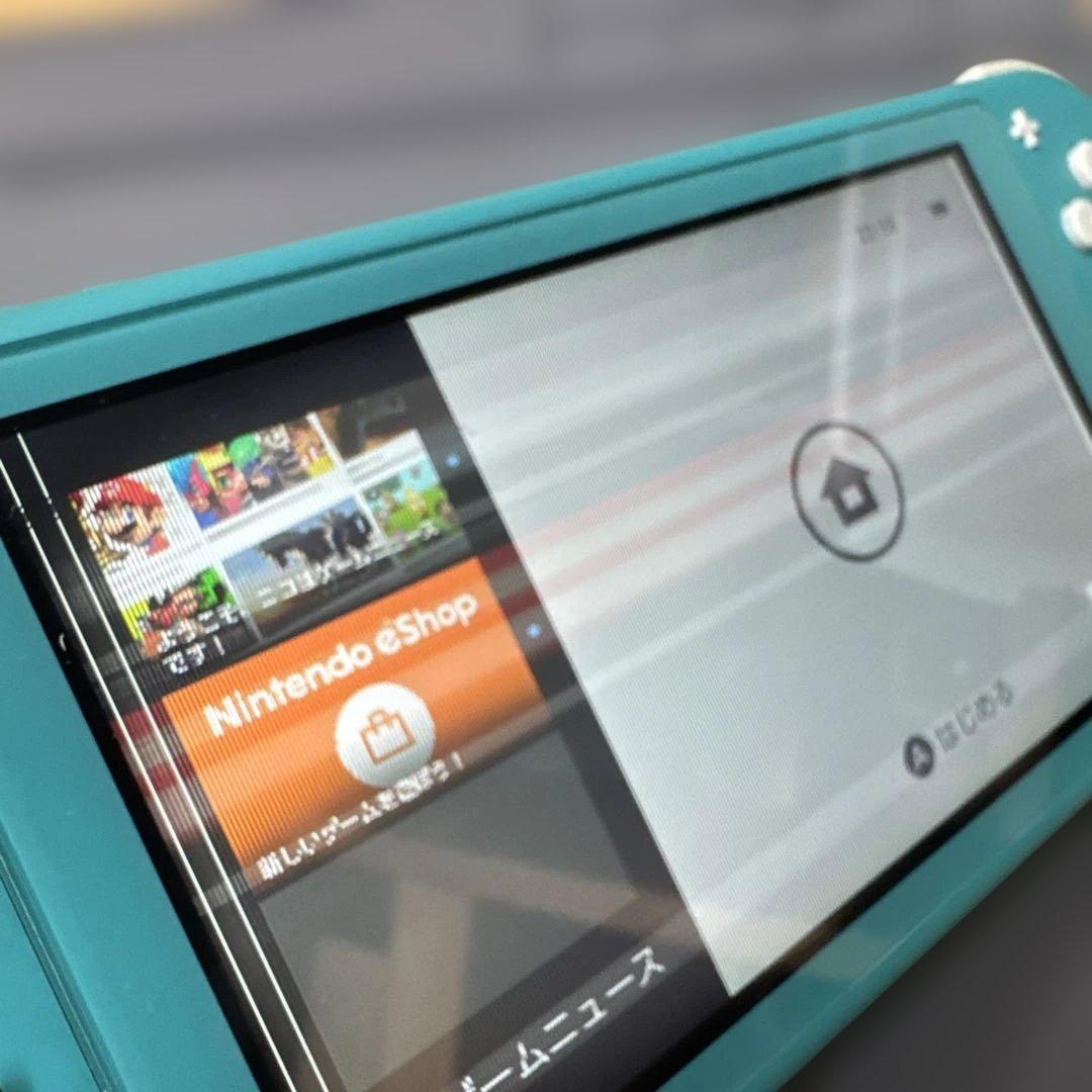 スイッチライト　Switchライト　画面滲みあり　ジャンク扱い　動作確認済み