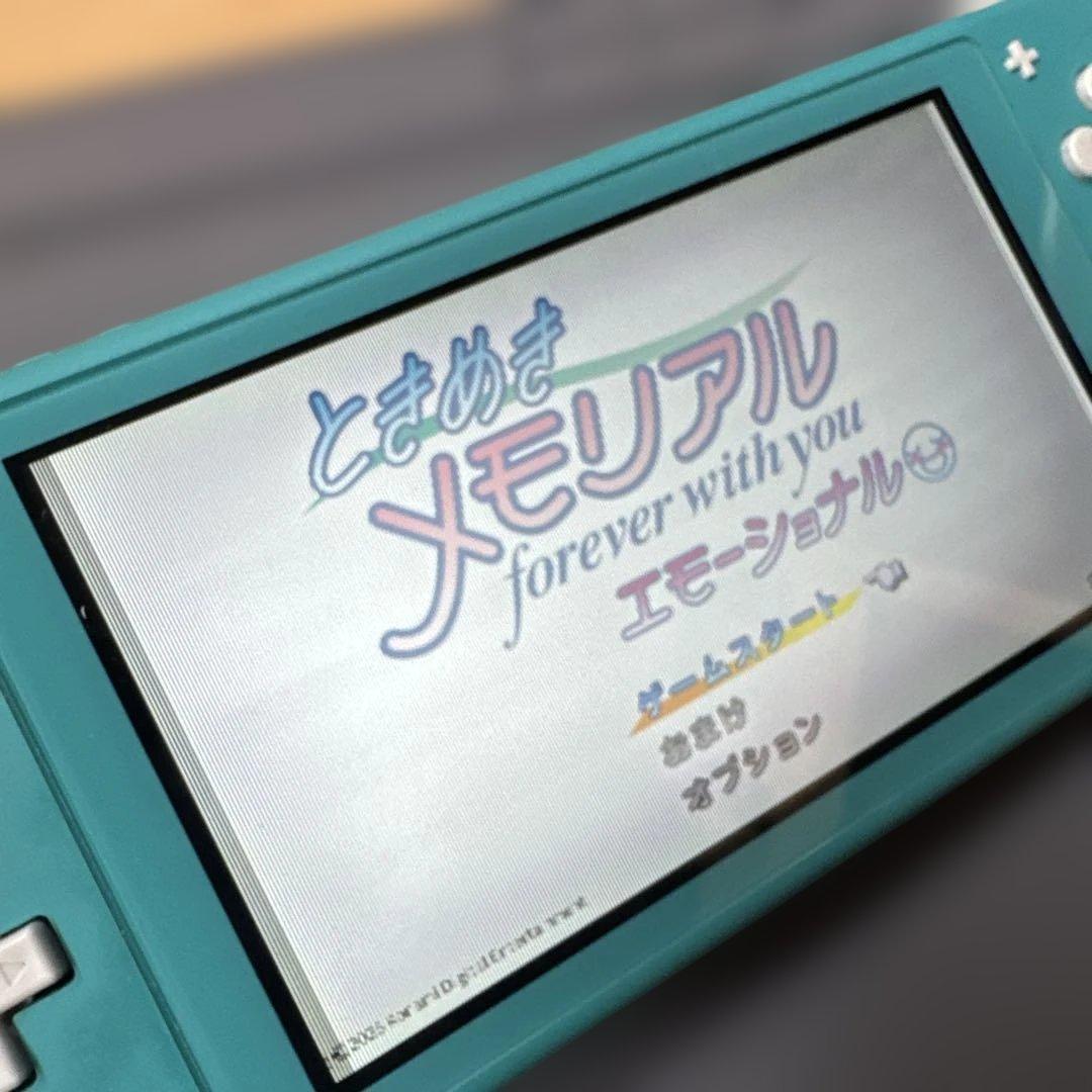 スイッチライト　Switchライト　画面滲みあり　ジャンク扱い　動作確認済み