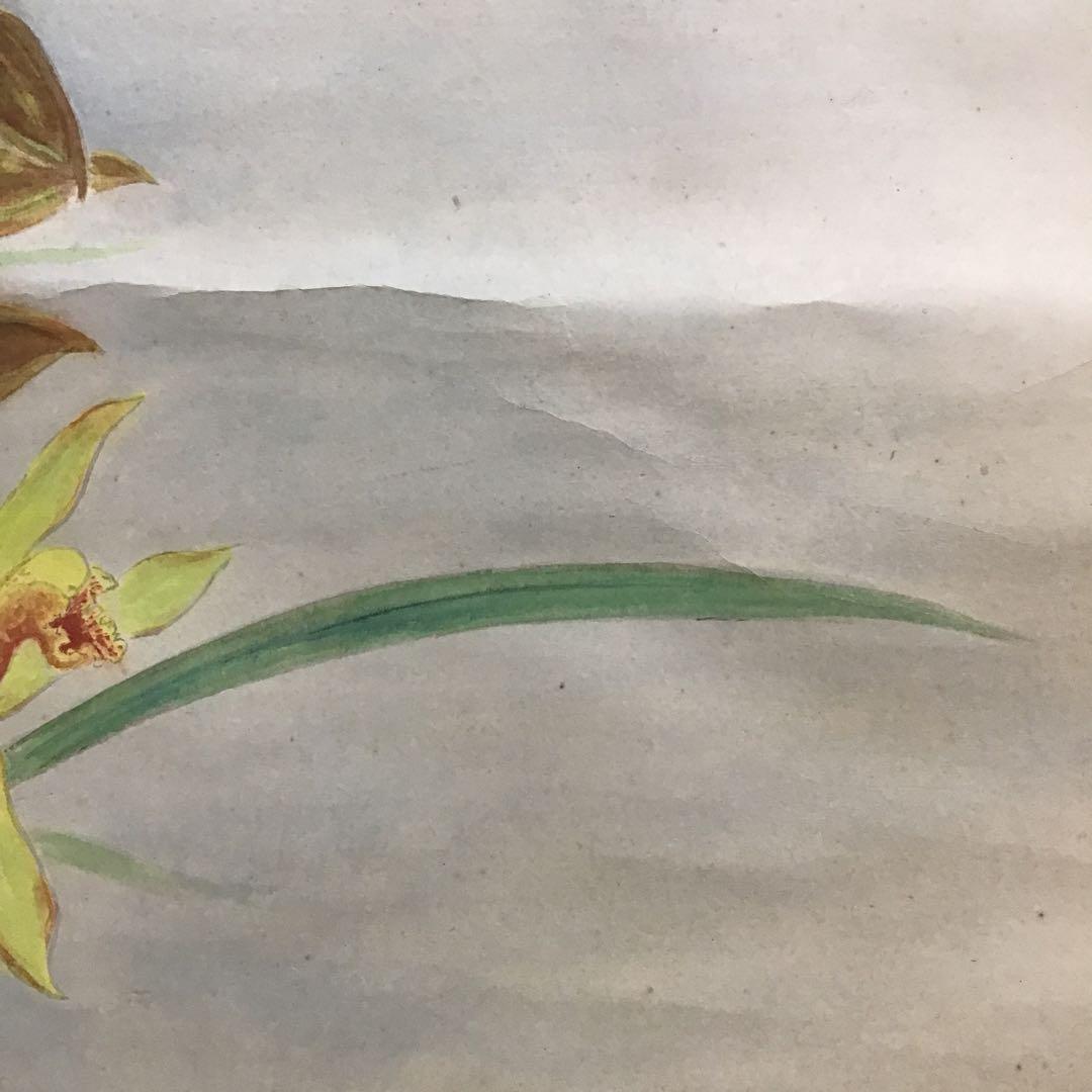 K茶道具　掛軸　「洋蘭の図」　古楊作　共箱　S1007KJ