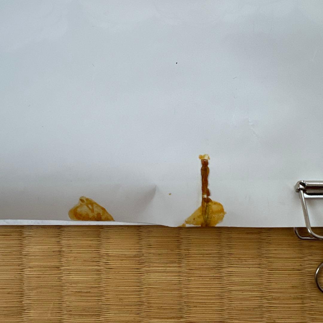 超レア！メタリカ’89年JAPANツアー　ポスター　PUSHEAD