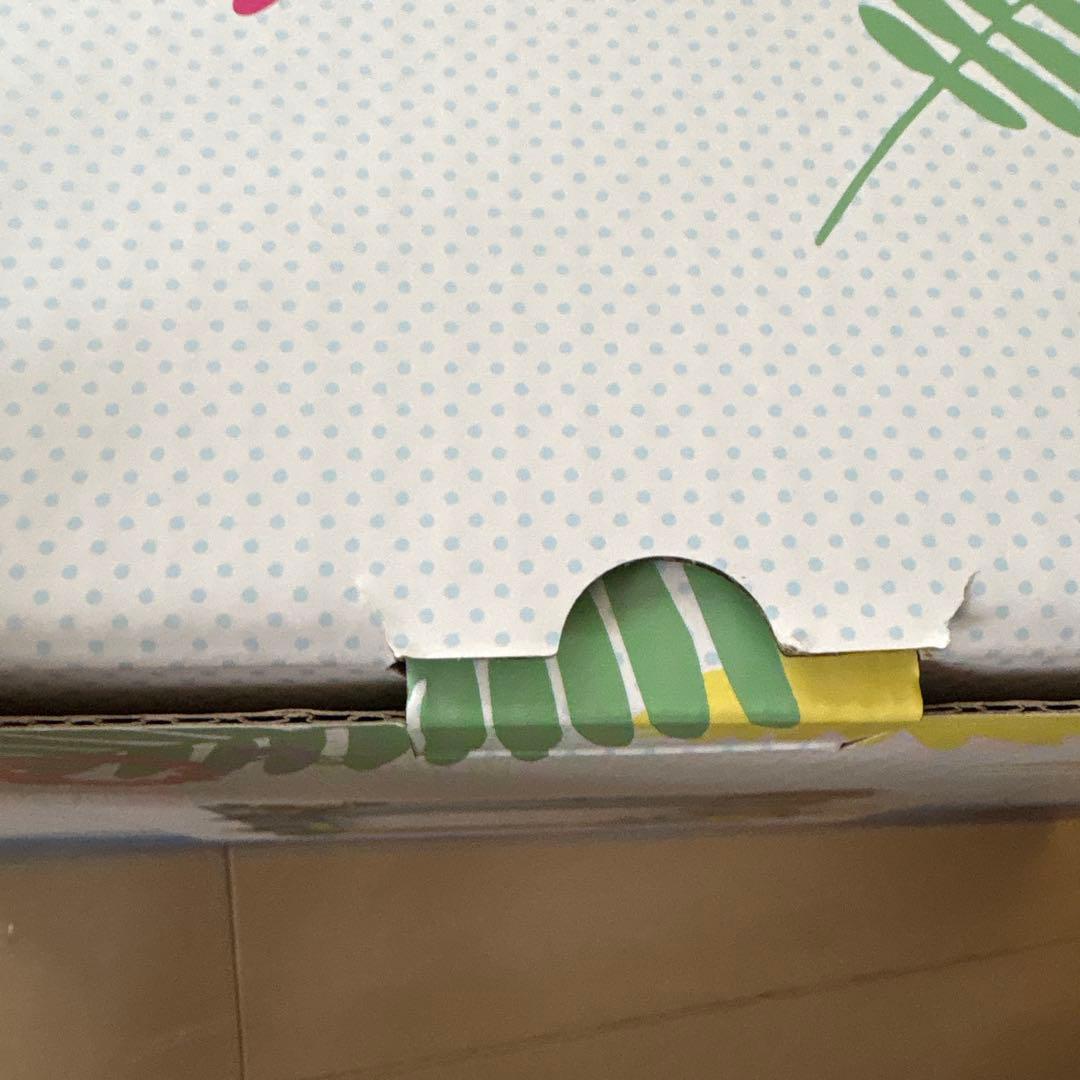 ポケモンワールドチャンピオンシップ2024公式フォトフレーム