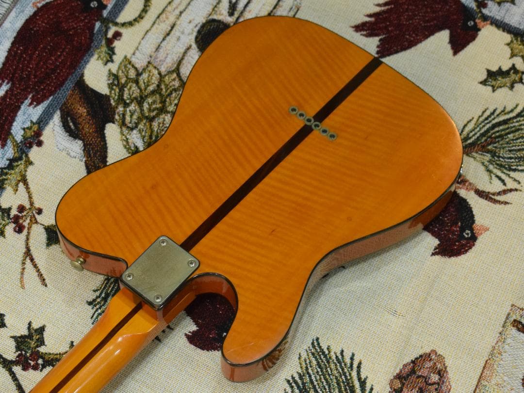 ギター Bill's Brothers EXCELLENT MAD CAT