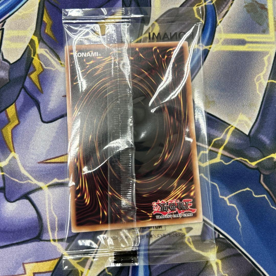 日本選手権　プロモ