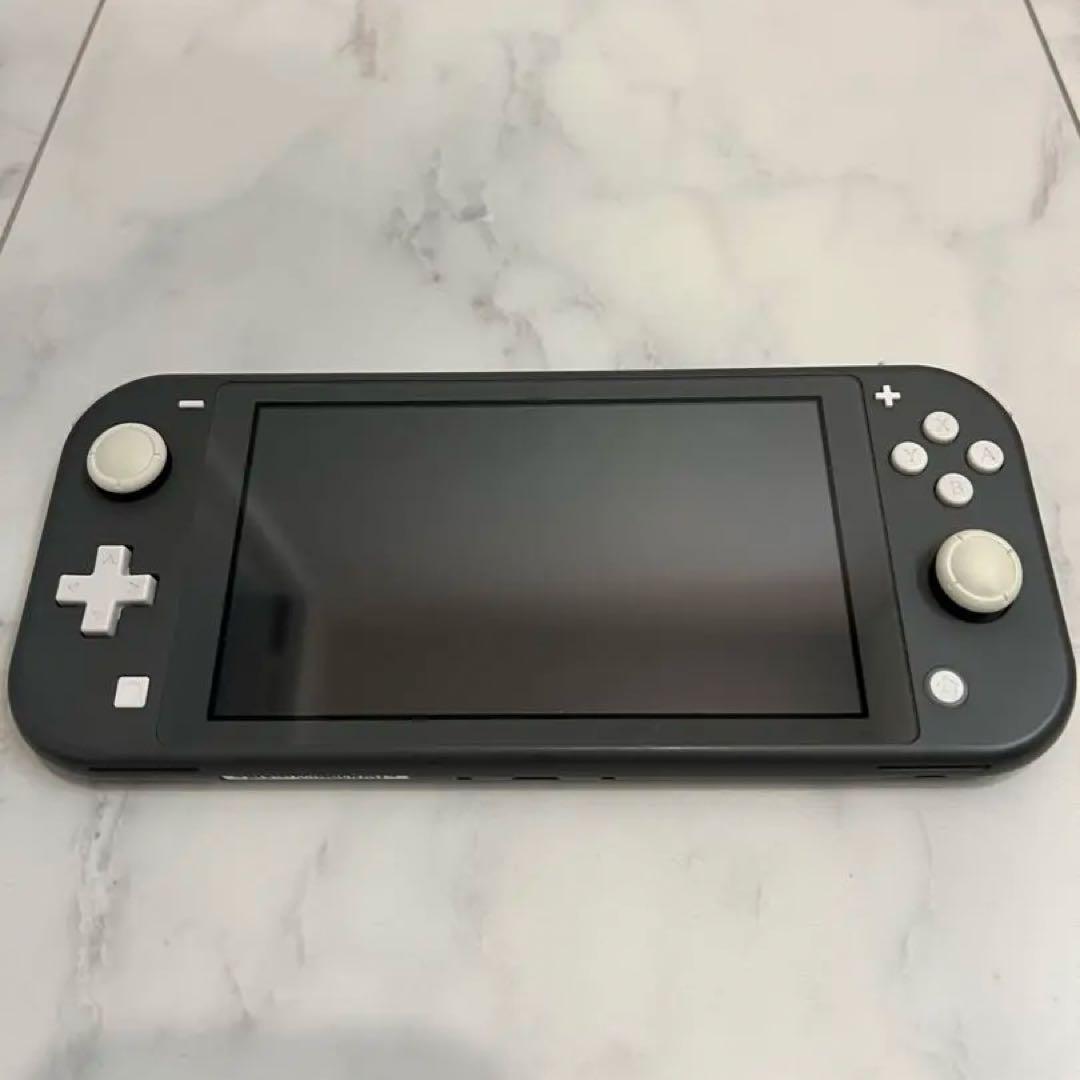 【ジャンク美品】Nintendo Switch Lite グレー ケースつき