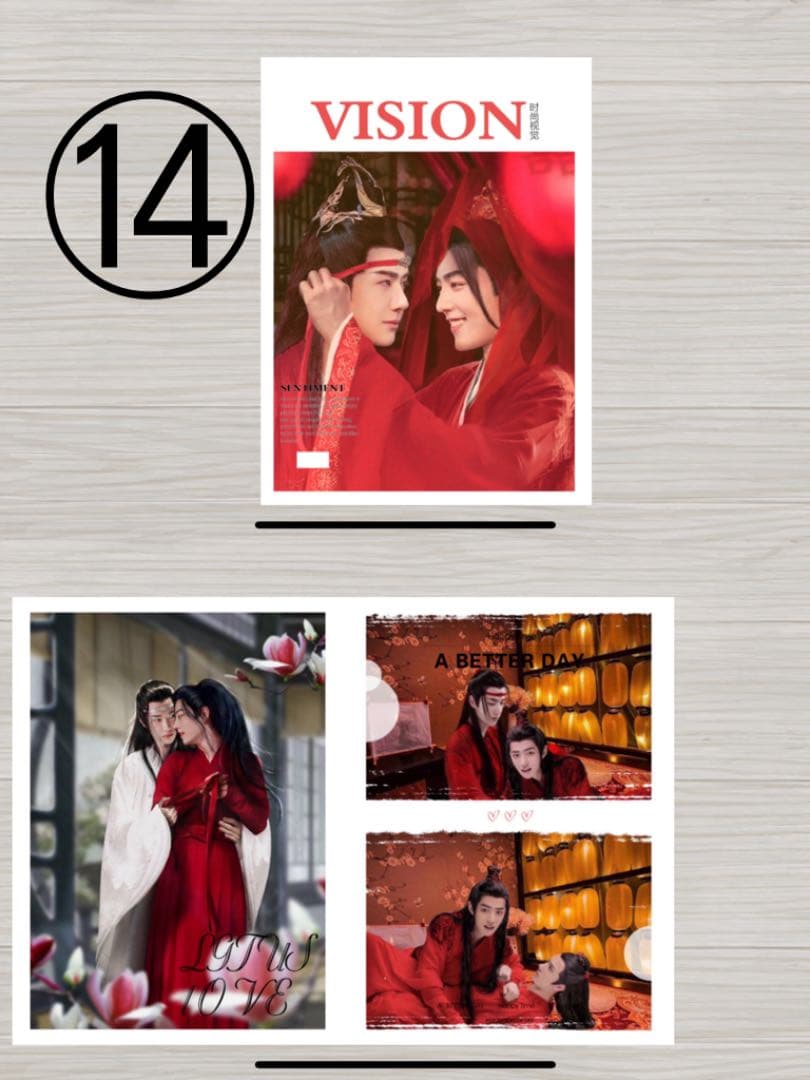 中国ドラマ 陳情令 The Untamed 肖戦 王一博 限定写真集