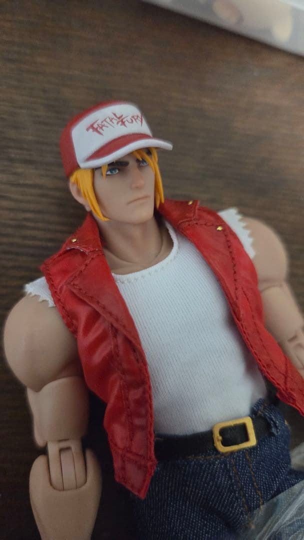 TUNSHI STUDIO　テリーボガード 1/12