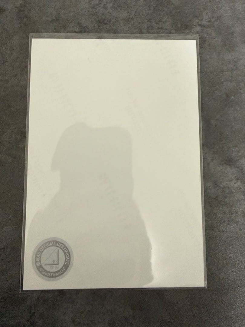 ケ*ン様 櫻坂46森田ひかる 生写真 直筆 サイン ヒキ 4th Anniver