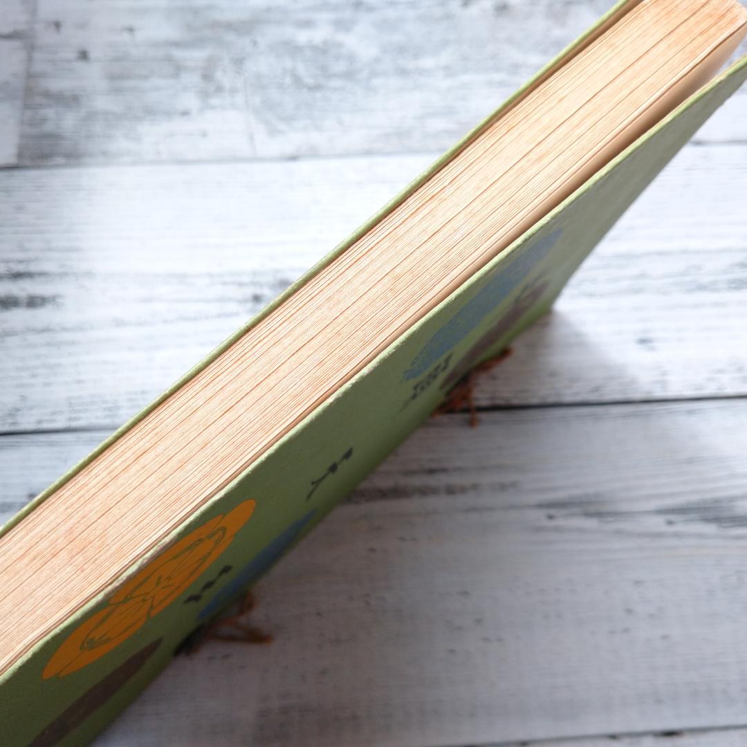 牛頭天王 廣嶺忠胤 T252