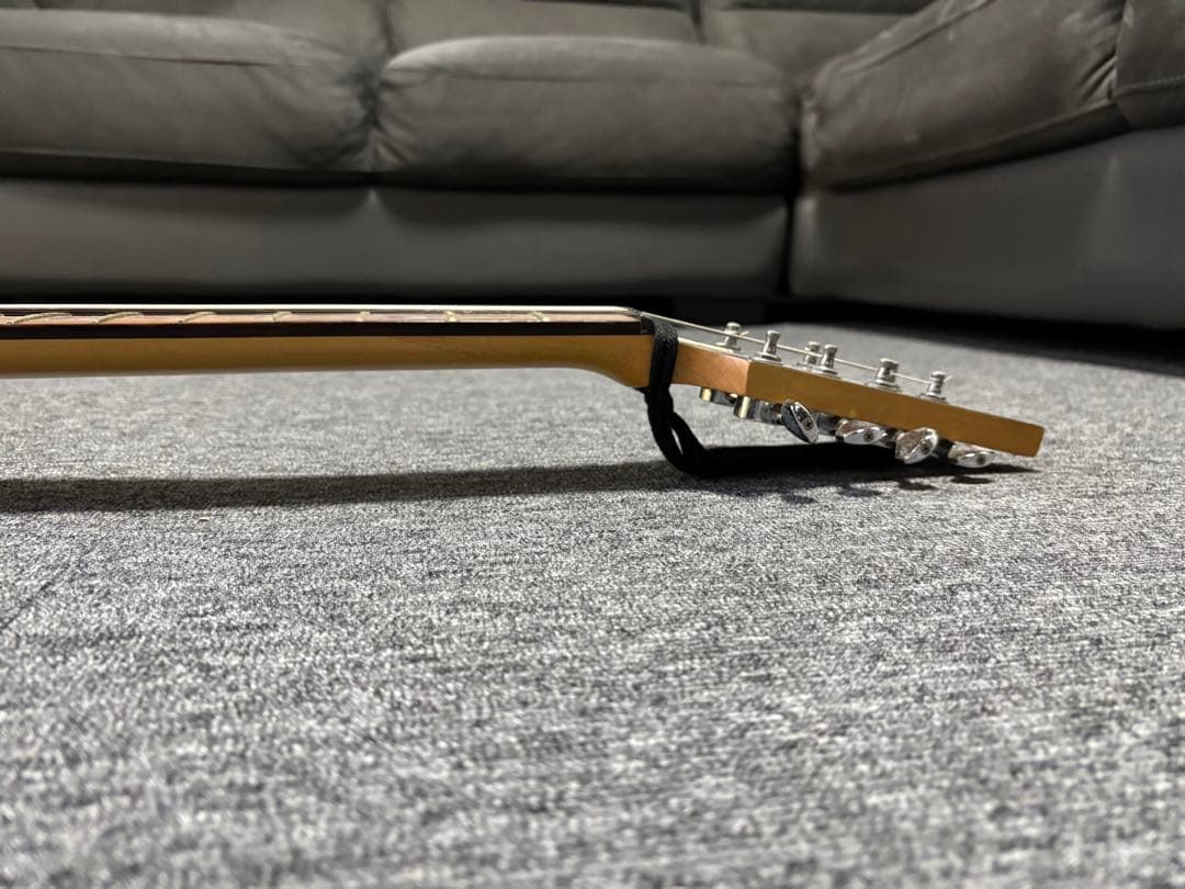 Schecter Diamond Series Damien 7弦