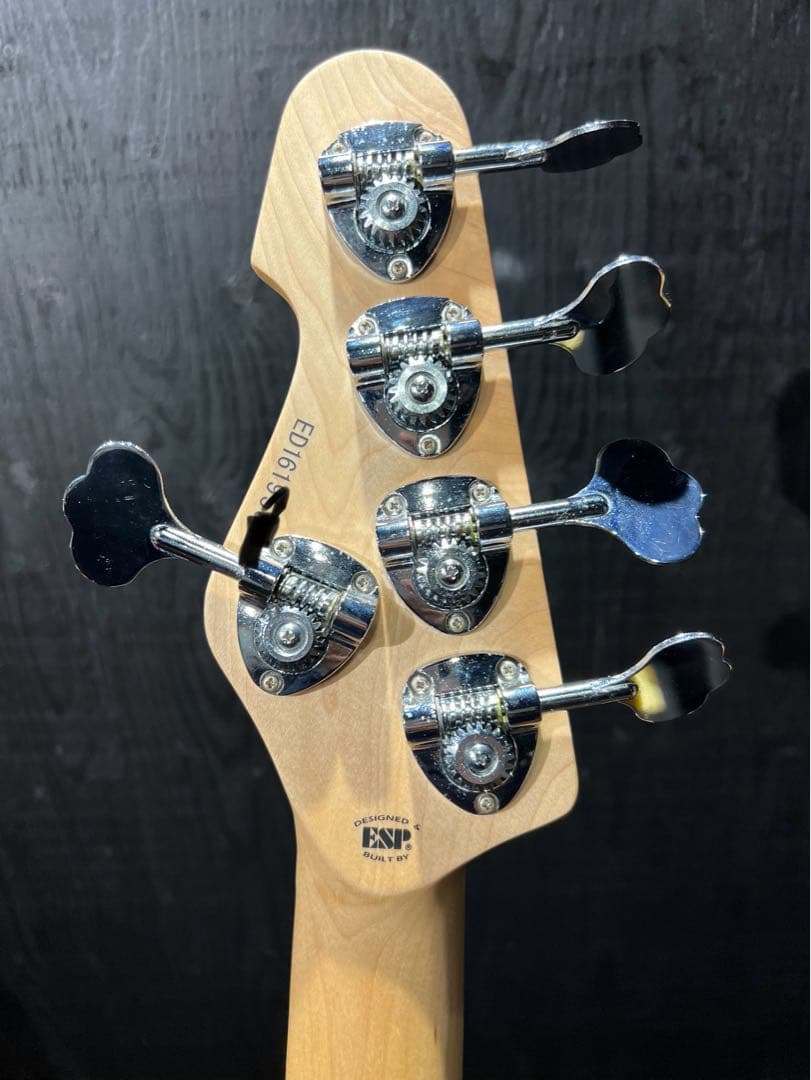 EDWARD E-AM-160QM 美品　black cherry