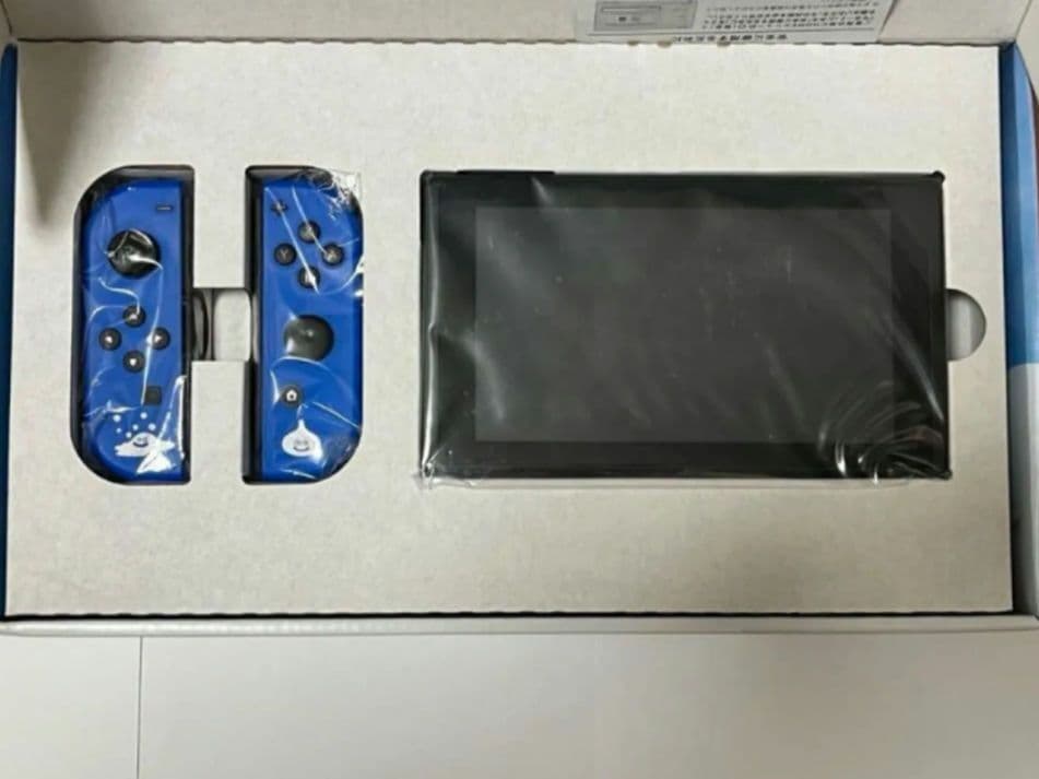 Nintendo Switch　ロトエディション　おまけ付き