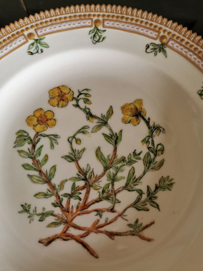 ロイヤルコペンハーゲン至宝φ25フローラダニカ 岩薔薇ヘリアンテム・ヌンムラリム