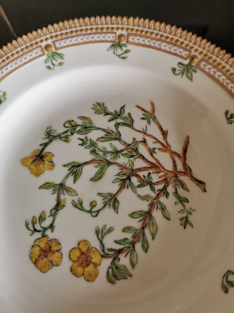 ロイヤルコペンハーゲン至宝φ25フローラダニカ 岩薔薇ヘリアンテム・ヌンムラリム