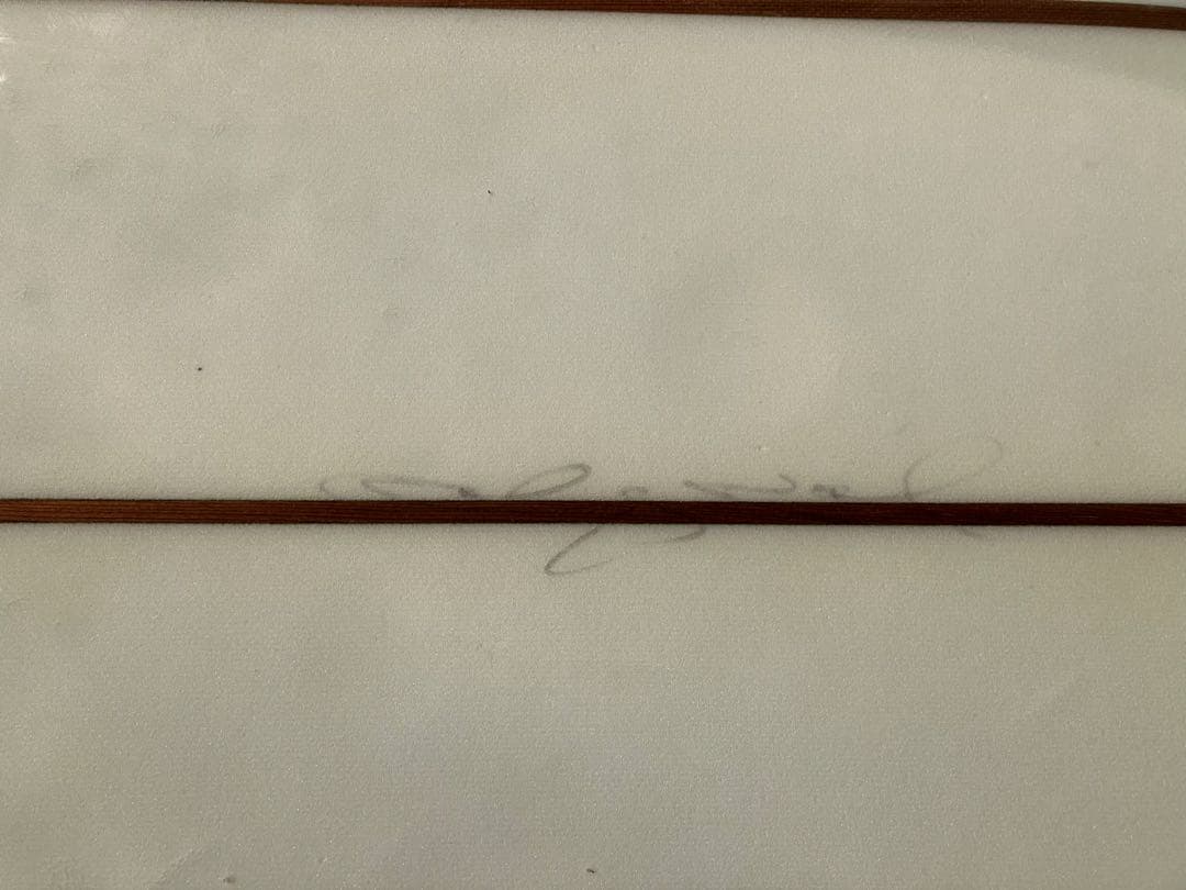 Gatoheroi D 9’5 ロビンシェープ