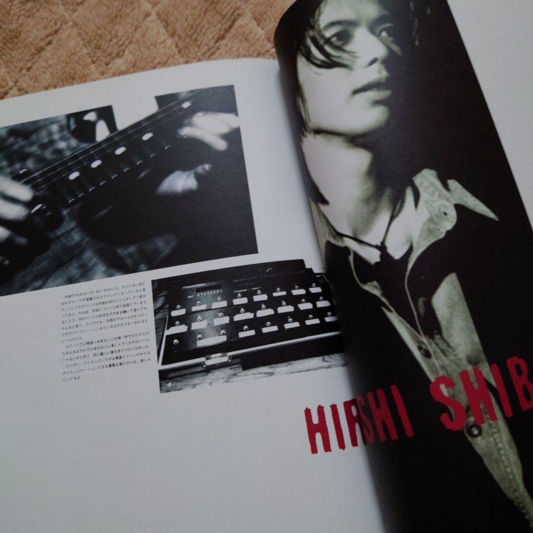 WANDS LIVE-JUNK ♯2 パンフレット