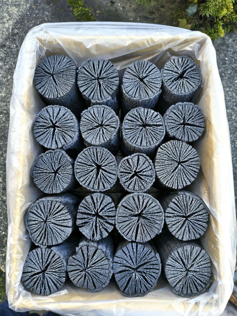 K【愛媛産】クヌギ炉用胴炭約5kg 皮剥がれ