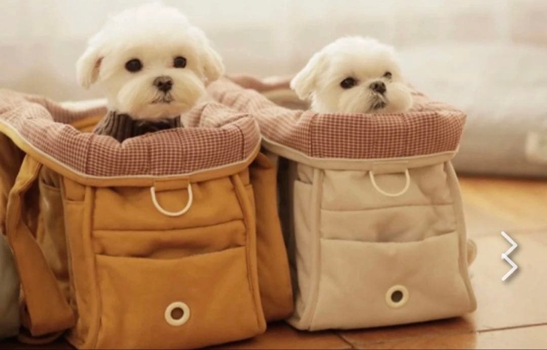 韓国ブランド　ba&ttang キャリーバッグ　クッション付き　小型犬 お出かけ
