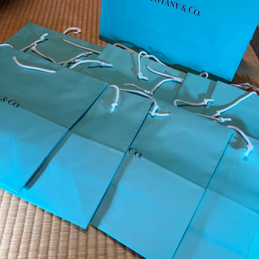 新品、Tiffany & Co. ショッパー 10枚